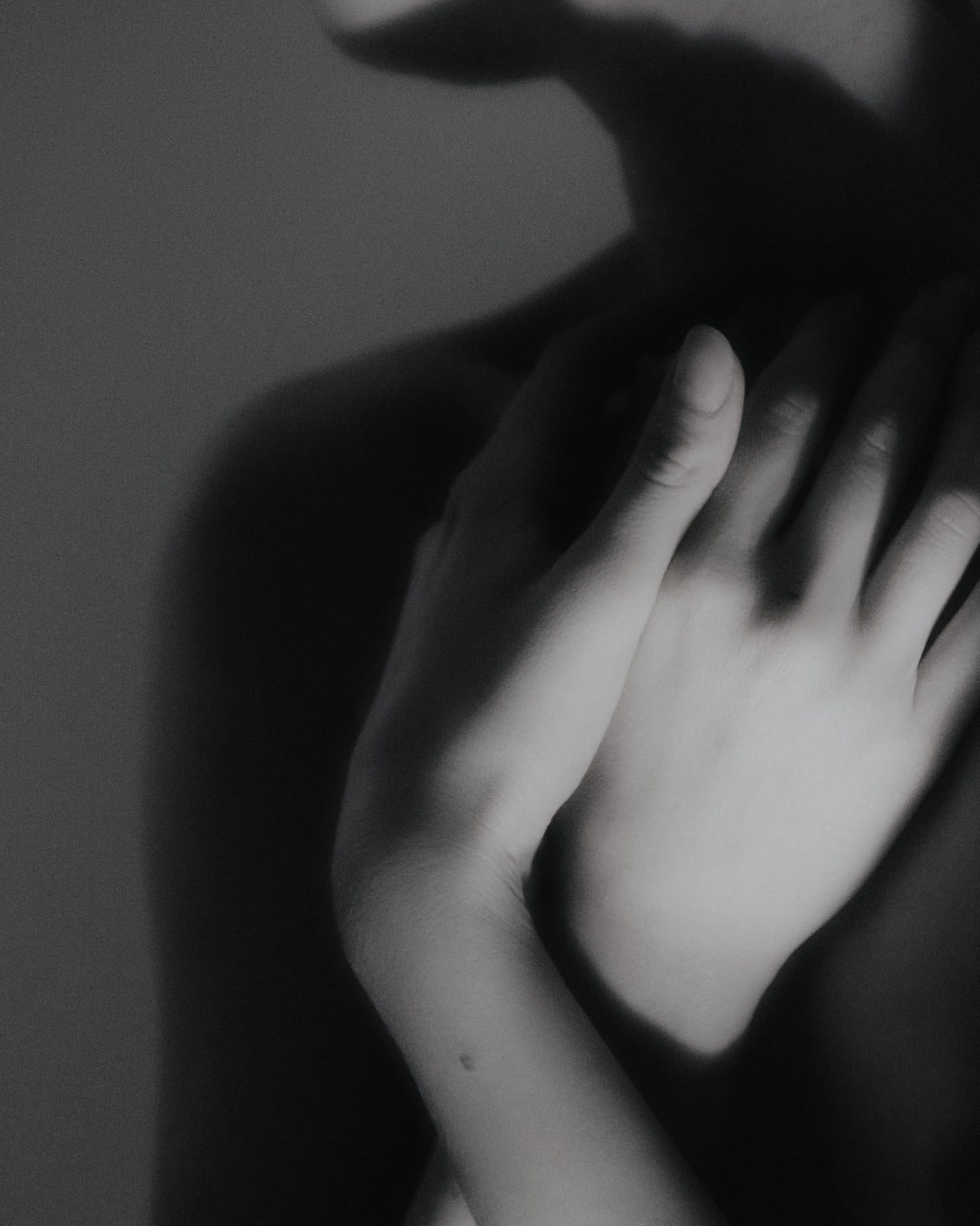 essence du sérail n°4